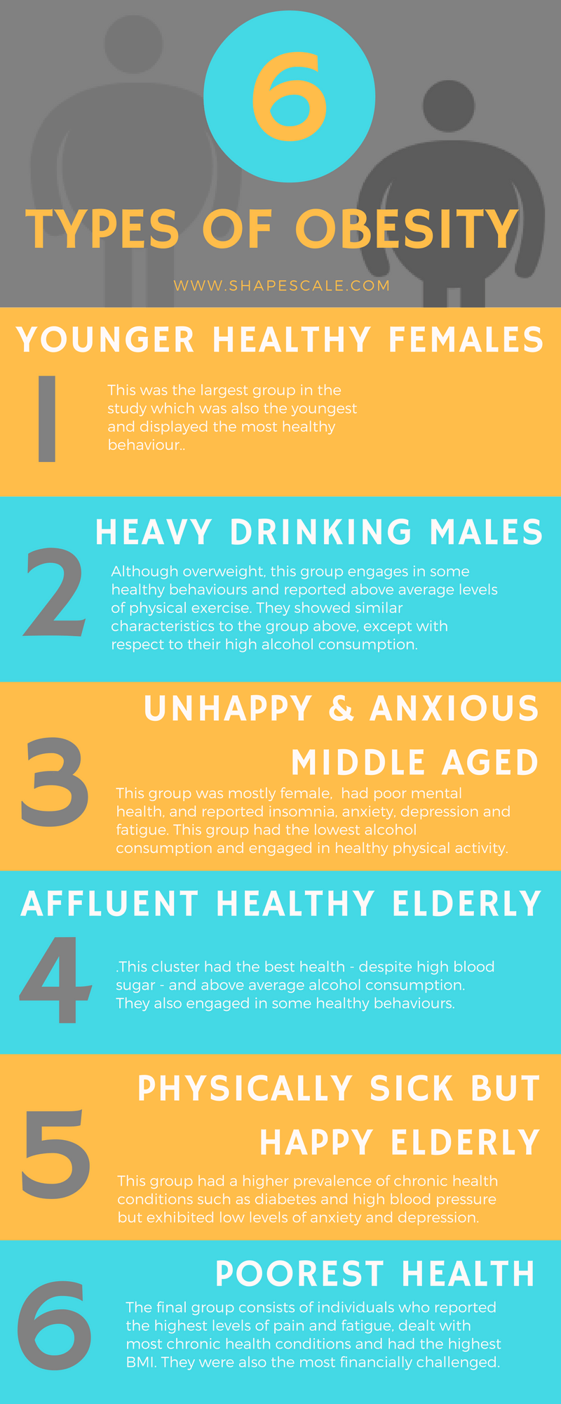 the-six-different-types-of-obesity-20-fit