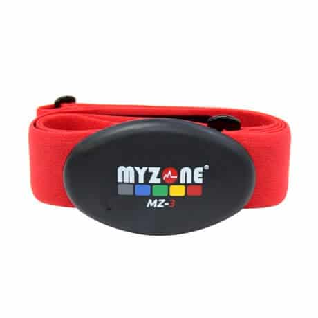 does myzone work with fitbit