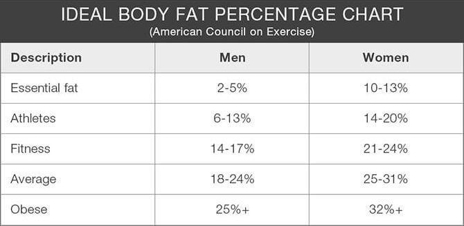 Fat Percentage Chart