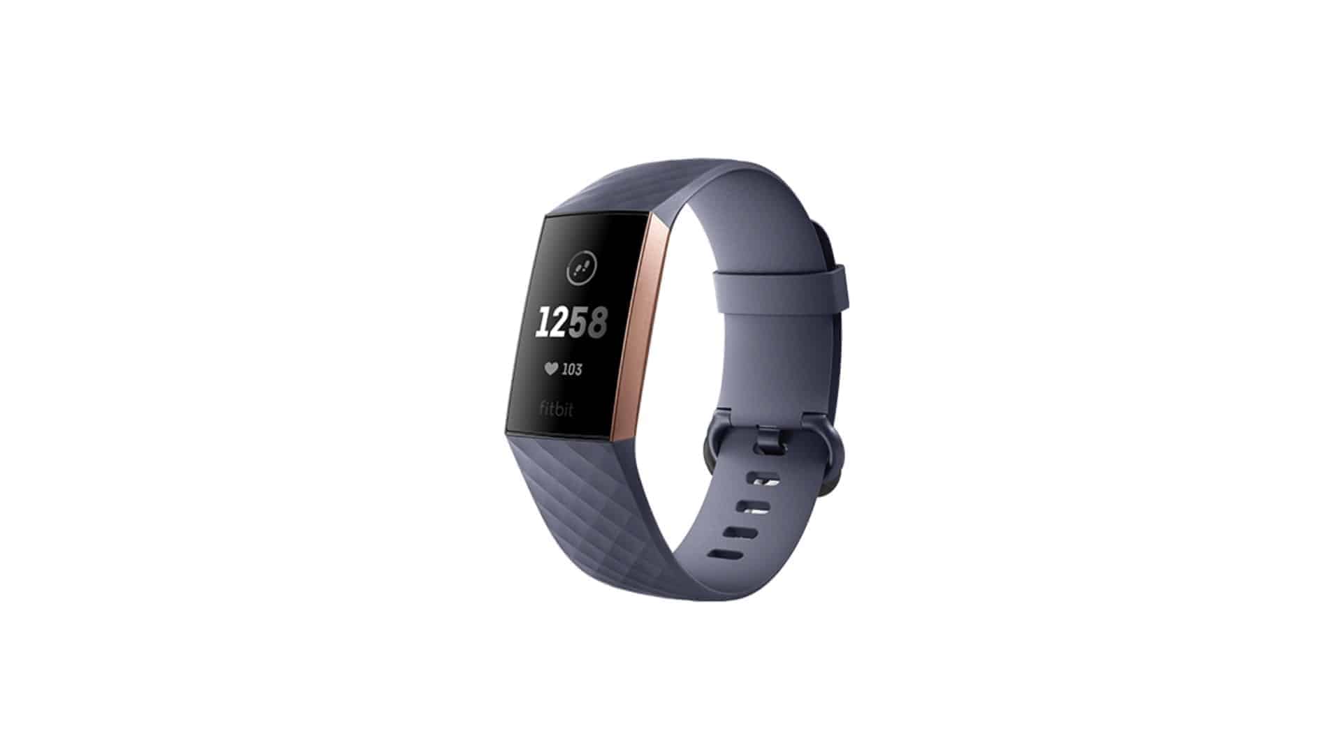 FitBit Heart Rate Monitor