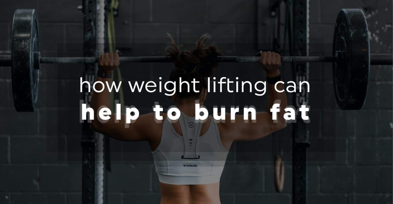 How Weight Lifting Can Help You Burn Fat 20 Fit