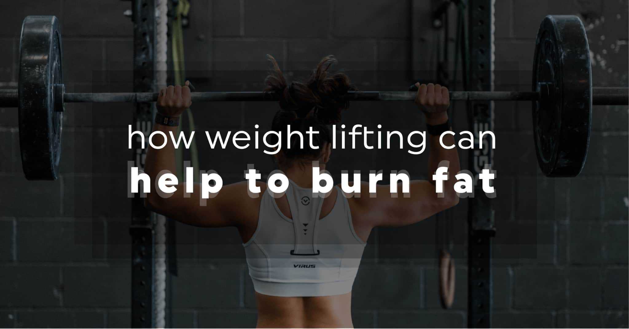 How Weight Lifting Can Help You Burn Fat 20 Fit