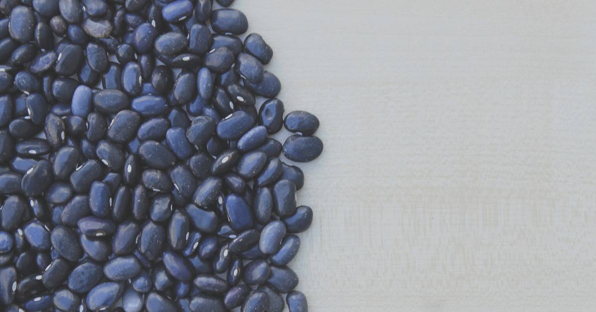 Black Beans Plant Based Protein Vegan Protein