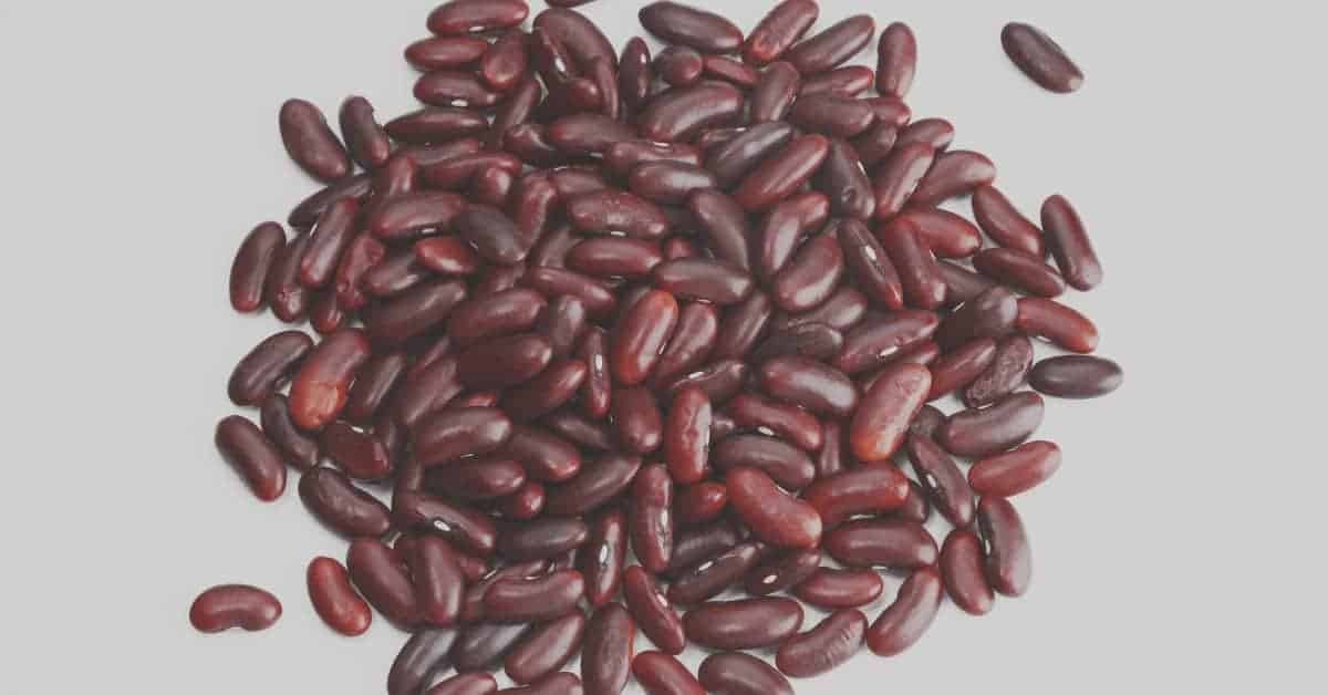 Kidney Beans Plant Based Protein Vegan Protein