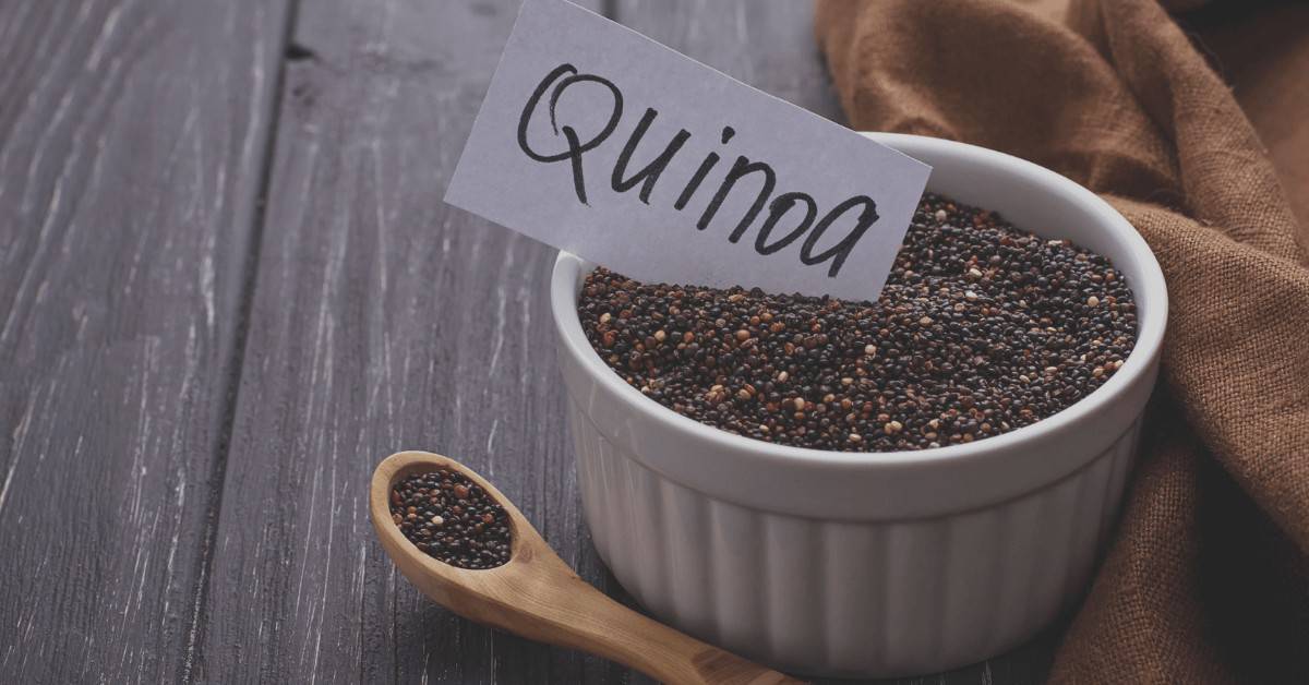 Quinoa Plant Based Protein Vegan Protein