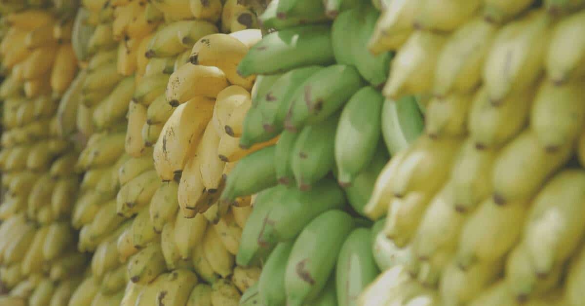 Bananas Electrolyte