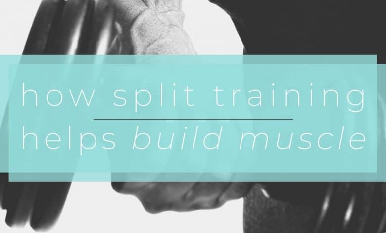 How Split Training Helps Build Muscle