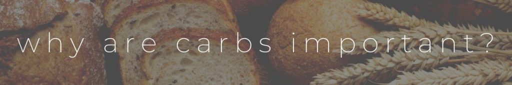 Why Are Carbohydrates Important Bread Header
