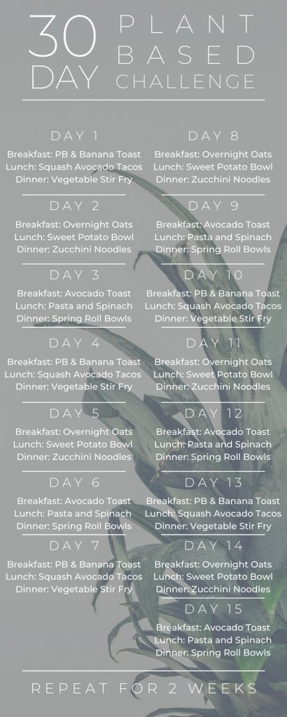 30 Day Plant Based Challenge Meals List