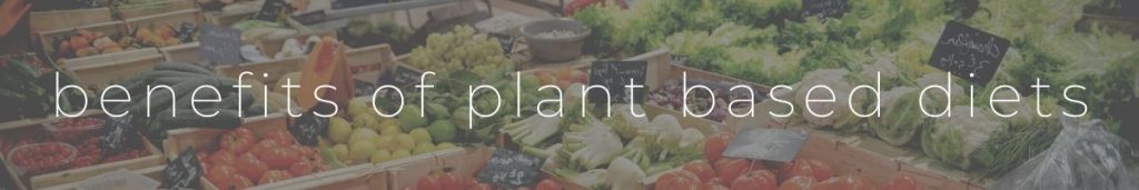 Plant Based Diet Benefit
