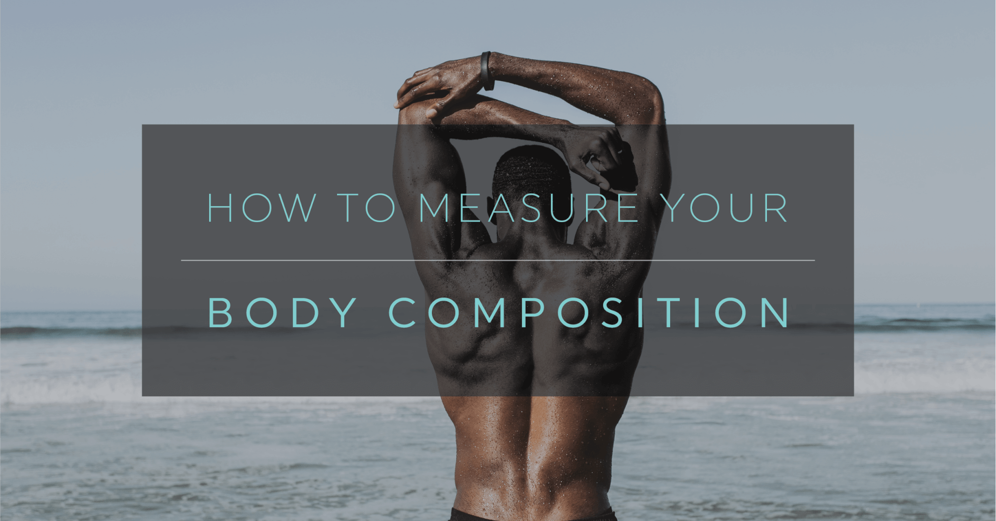 https://cdn.shpe.us/wp-content/uploads/sites/5/2018/12/guide-to-body-composition-01.png